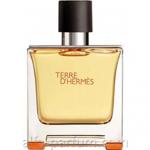 Terre D Hermes Edt