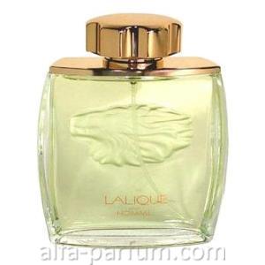 Lion Edp