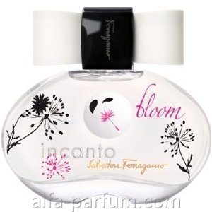 Incanto Bloom